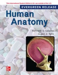 Saladin, Human Anatomy: 2024 Release
