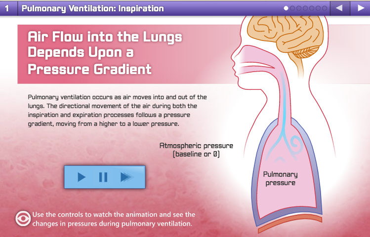 Interactive Presentations
